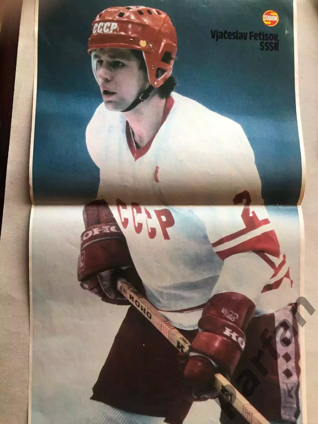 Stadion Постер Фетісов Хокей