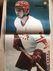 Stadion Постер Фетісов Хокей