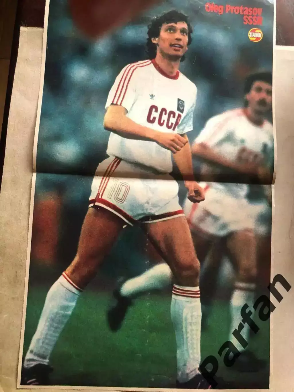 Stadion Постер Протасов