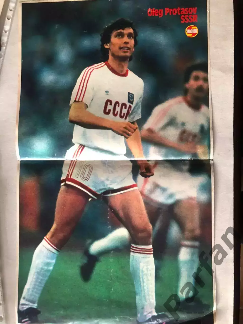 Stadion Постер Протасов