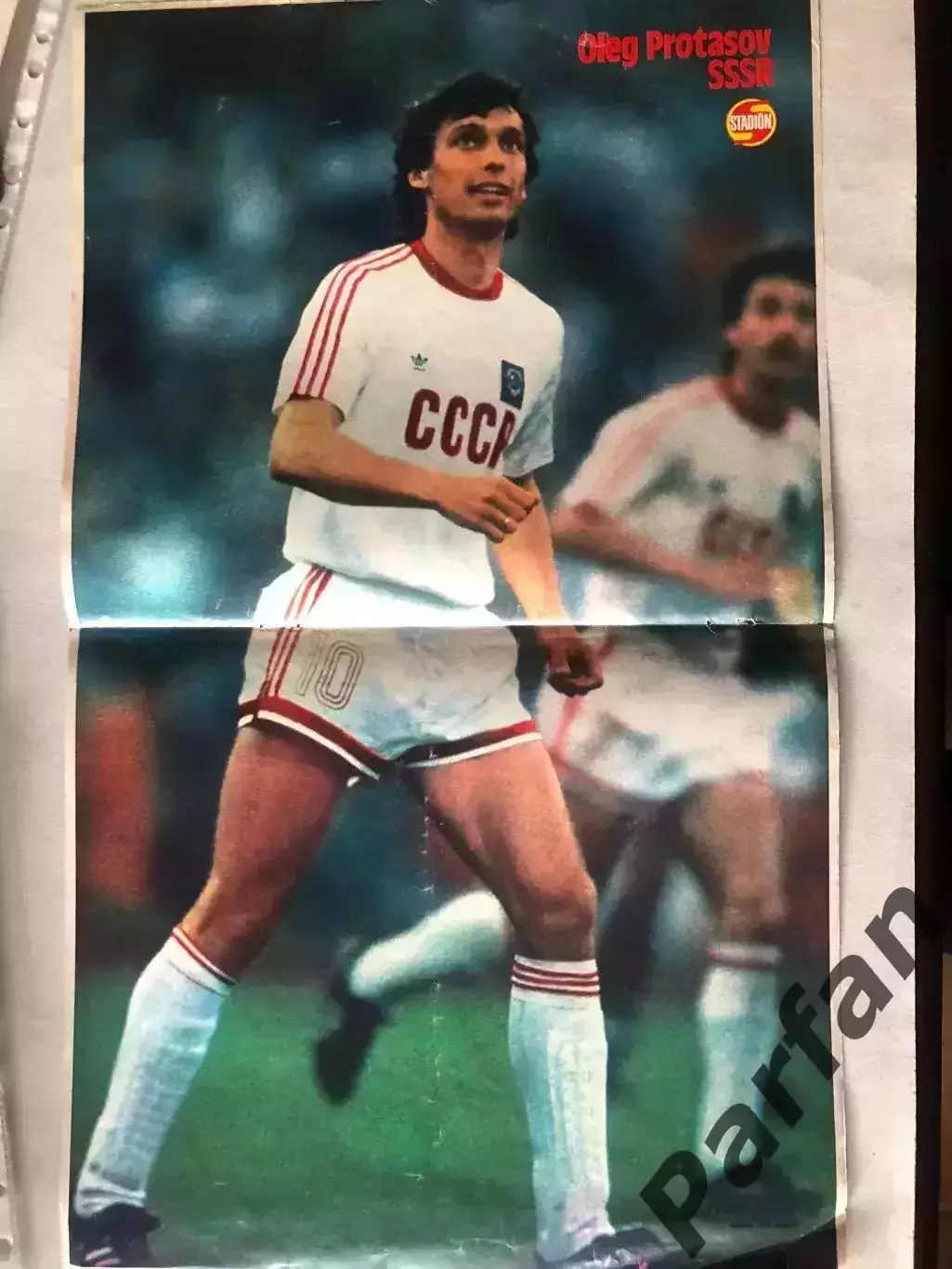 Stadion Постер Протасов