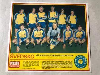 Stadion Постер Швеція