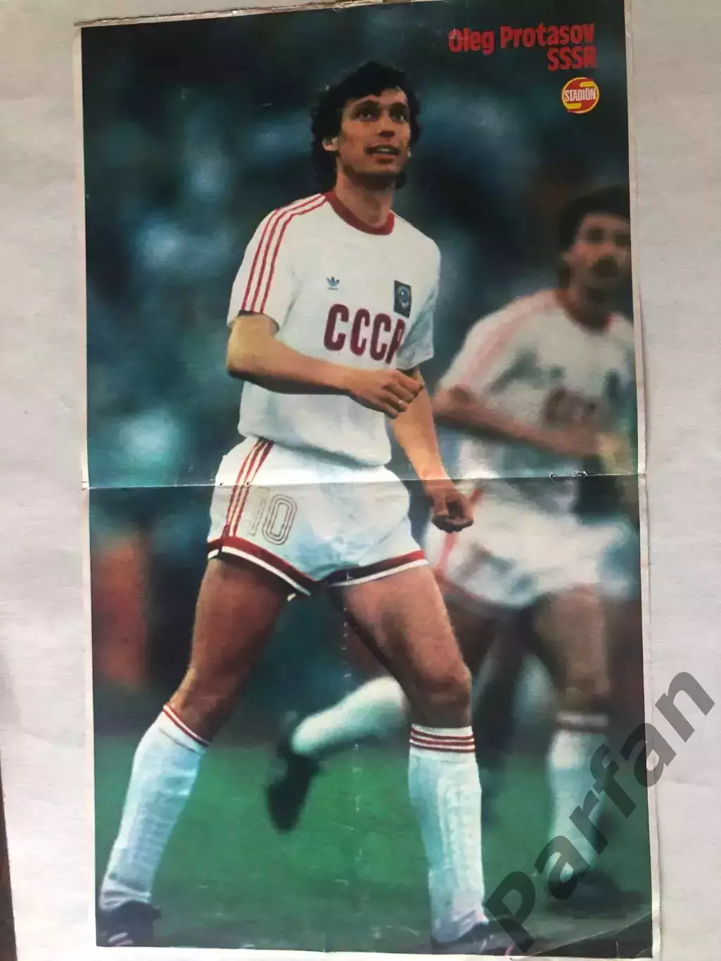 Stadion Постер Протасов