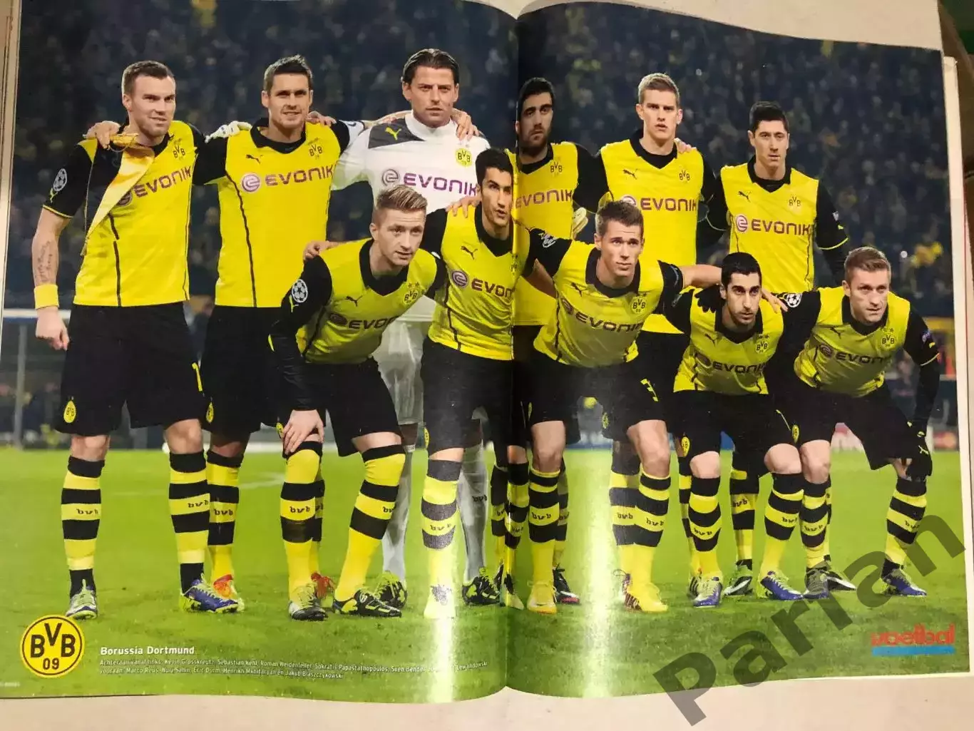 Voetbal international 2014 №10 Боруссія 1