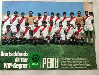 Kicker Постер Перу 1970