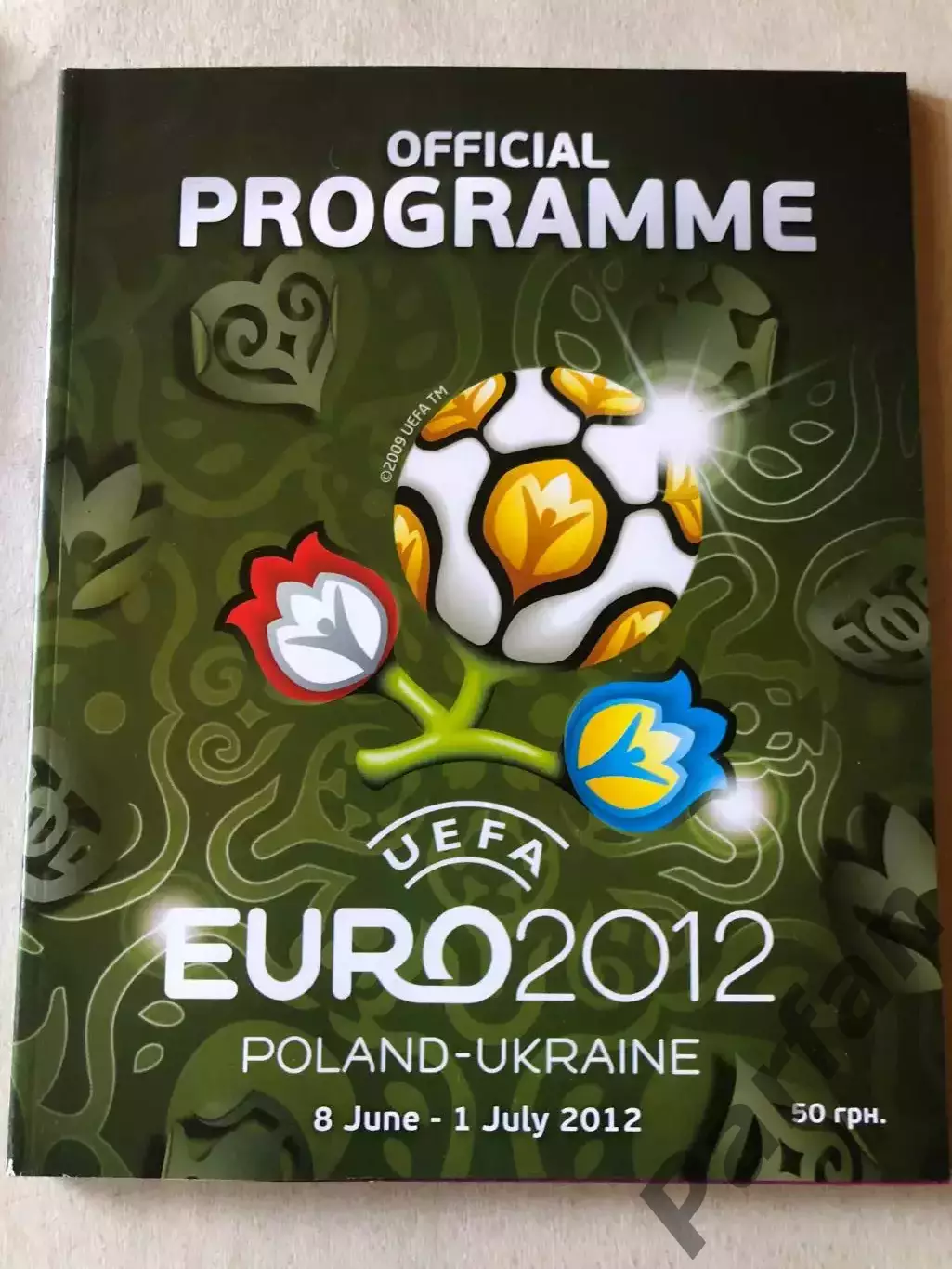 Чемпіонат Європи ЕВРО 2012 Україна Англ. мова Вид України