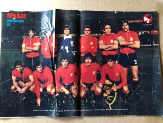 Voetbal international 1980 Іспанія