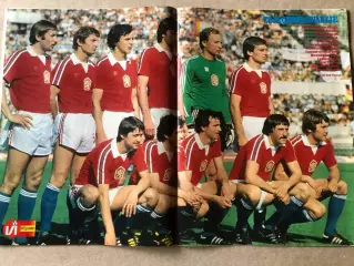 Voetbal international 1982 Постер Чехословакія