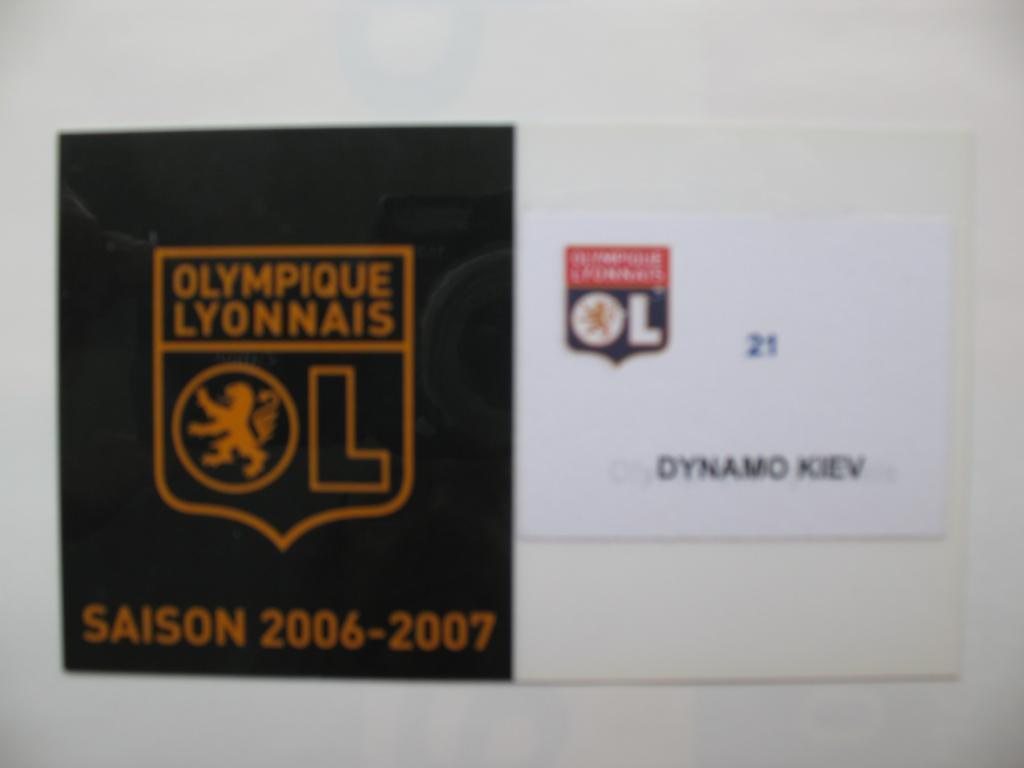 Билет (пропуск) Олимпик Лион - Динамо Киев 2006