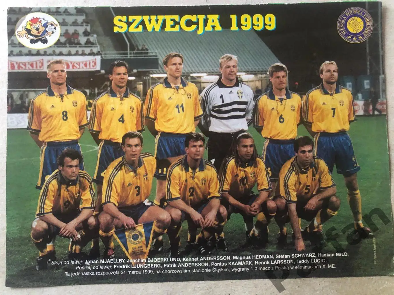 Pilka Nozna Постер Швеція