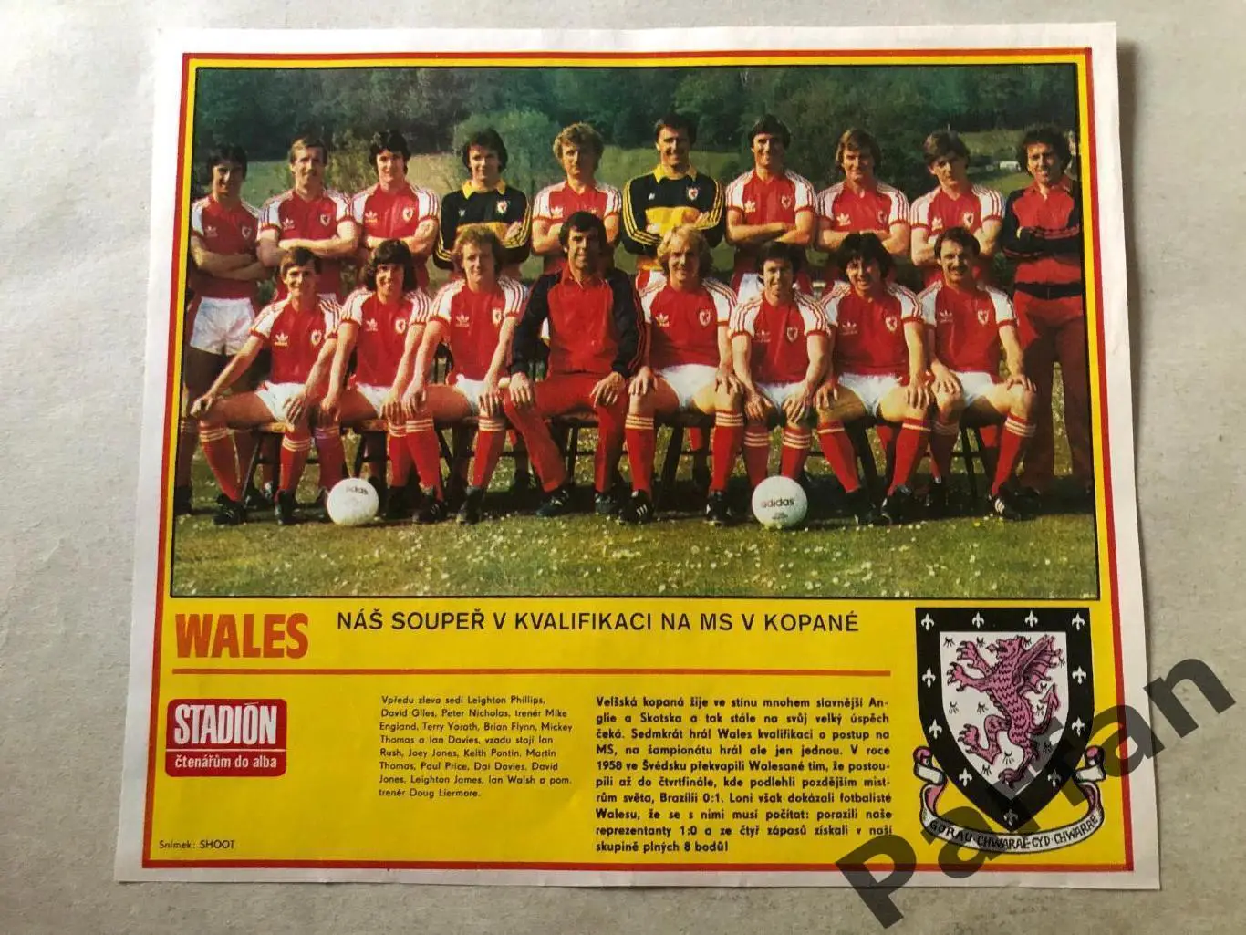 Stadion Постер Уельс