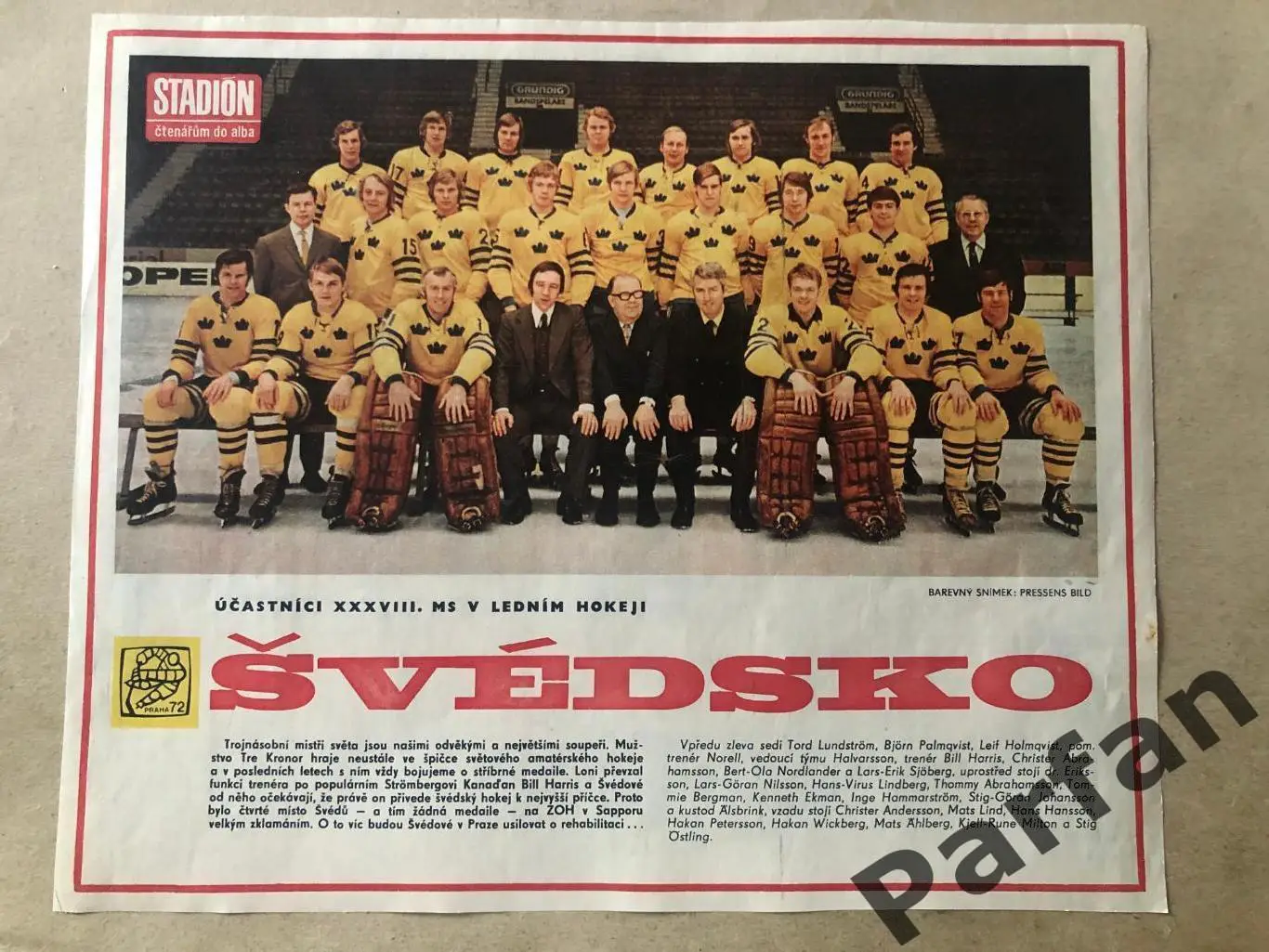 Stadion Постер Швеція Хокей