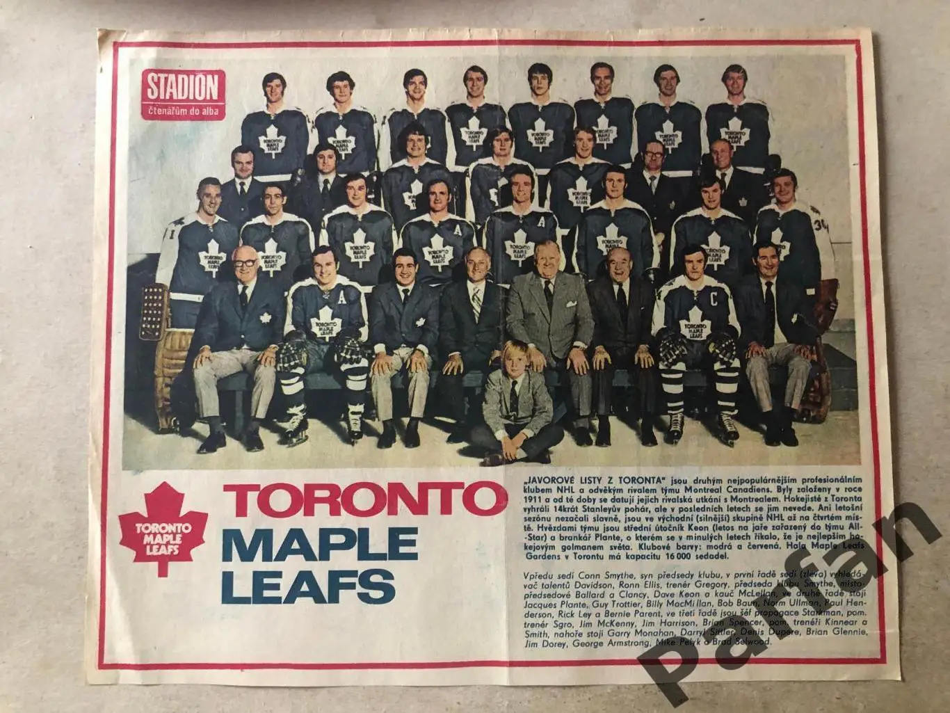 Stadion Постер Торонто МЛ Хокей