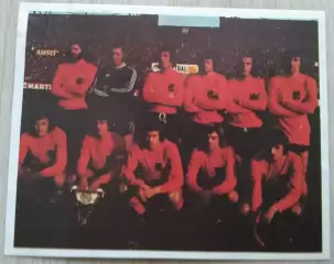 Сборная Голландии по футболу. 1973 год