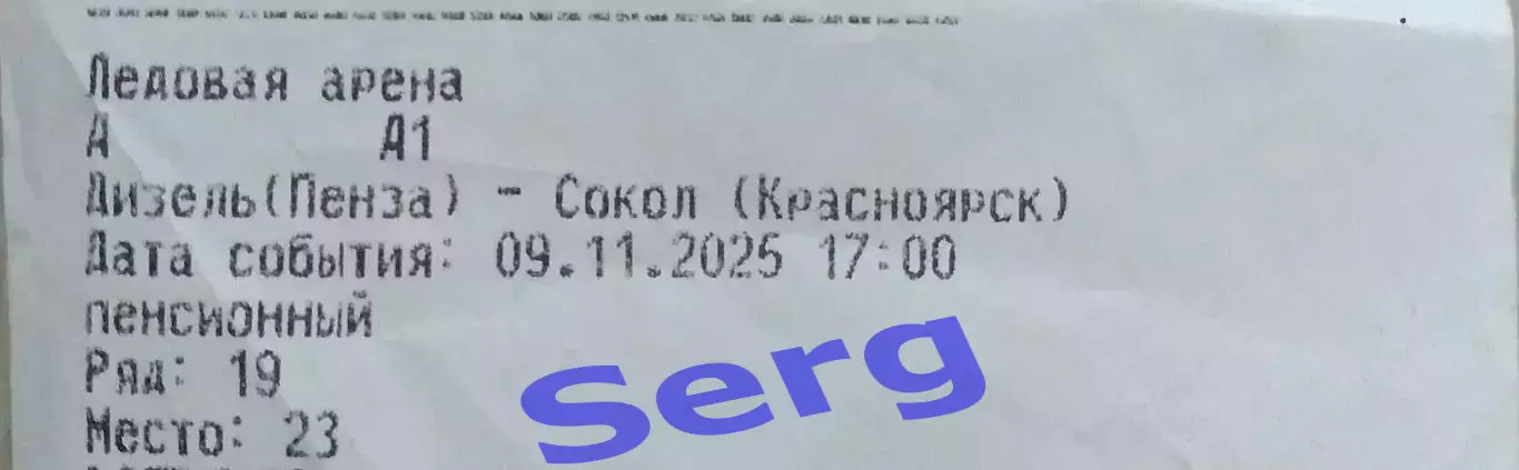 Билет на матч Дизель Пенза - Сокол Красноярск - 09 ноября 2025 год