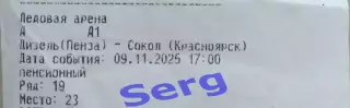 Билет на матч Дизель Пенза - Сокол Красноярск - 09 ноября 2025 год