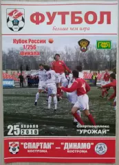 Спартак Кострома - Динамо Кострома - 25 апреля 2010 год