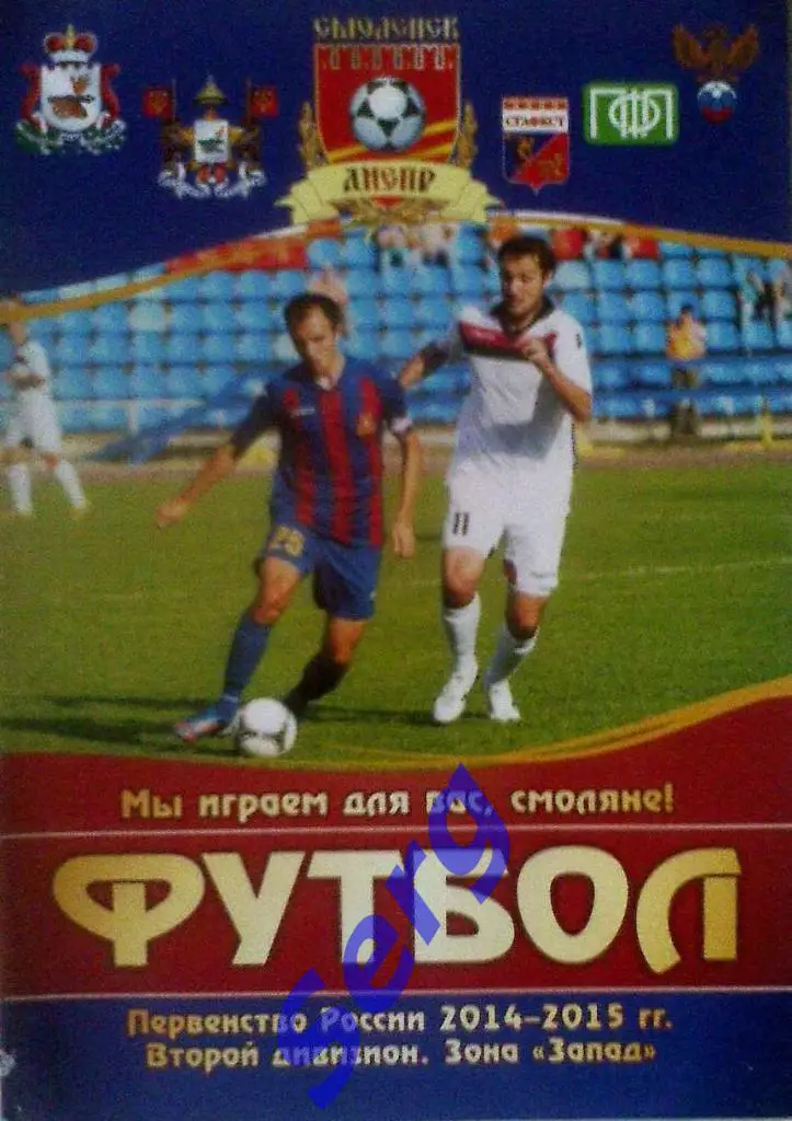 Днепр Смоленск - Спартак Кострома - 05 октября 2014 год
