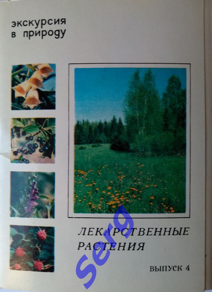 Набор открыток Лекарственные растения выпуск №4 1980 год