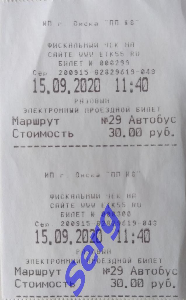 Автобусный билет г. Омск автобус №29