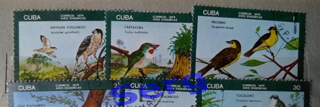Марки Птицы (набор 6 шт.) Куба, 1976 год