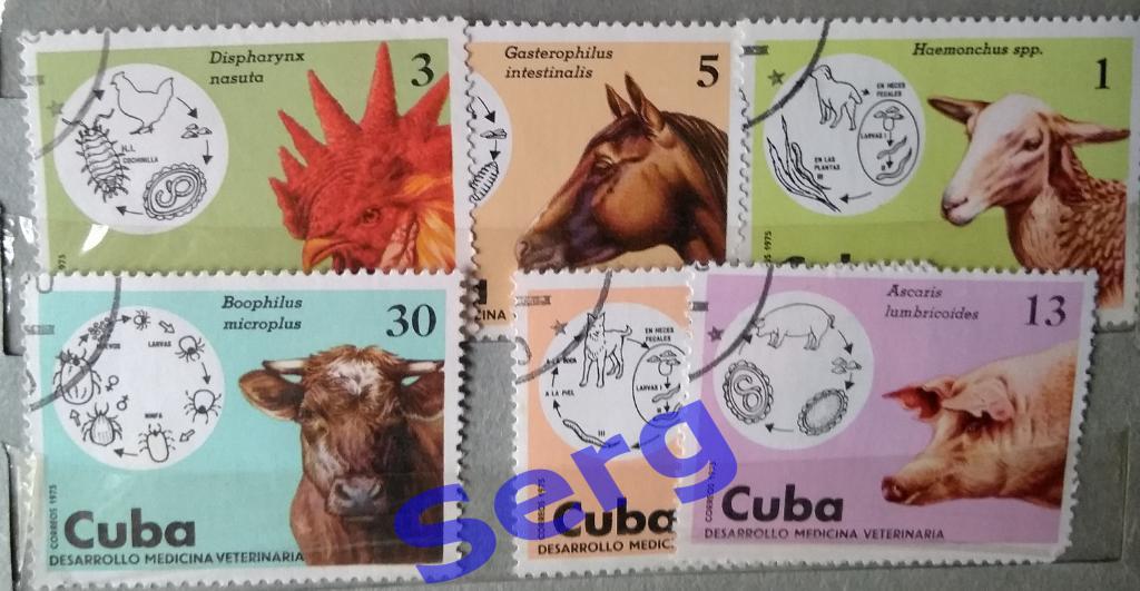 Марки Животные. Ветеринария (набор 6 шт.) Куба, 1975 год