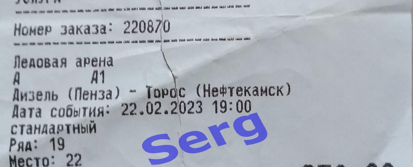 Билет на матч Дизель Пенза - Торос Нефтекамск - 22 февраля 2023 год