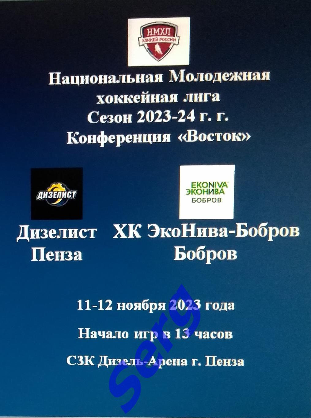 МХК Дизелист Пенза - ХК ЭкоНива-Бобров Бобров - 11-12 ноября 2023 год. НМХЛ