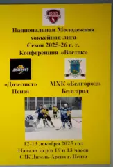 Дизелист Пенза - МХК Белгород Белгород - 12-13 декабря 2025 год. НМХЛ