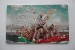 Абонемент- БИЛЕТ-ЛОКОМОТИВ-СЕЗОН-2018