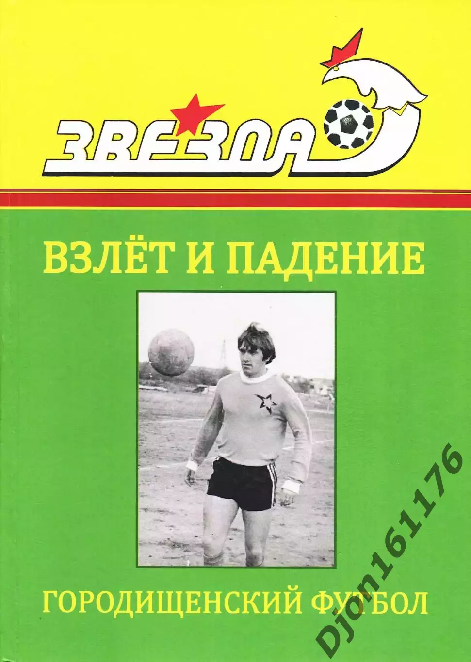 В.Д.Андреев. «Городищенский футбол. Взлет и падение» (I том).