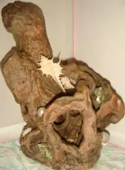 Морская симфония композиция