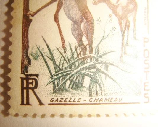 Марка Французская колония Африка Сомали газель олени 1950 2