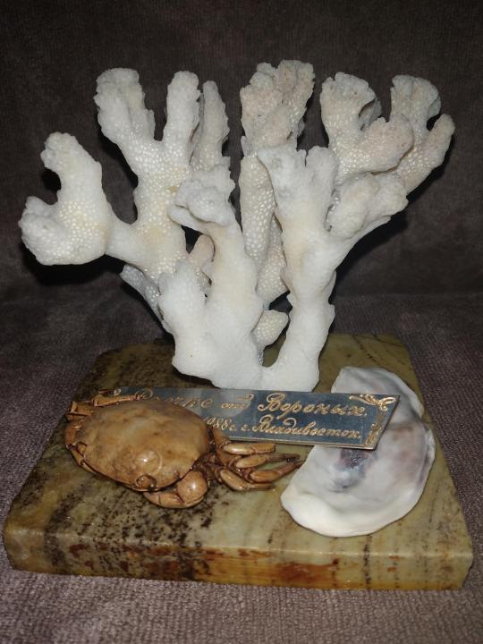 Морские кораллы 1988 г.