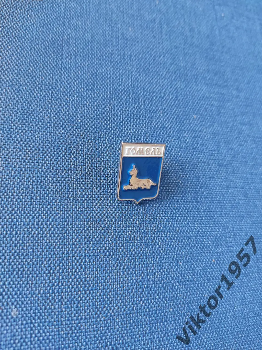 Геральдика. Гербы городов Беларуси. Город Гомель,серебристый