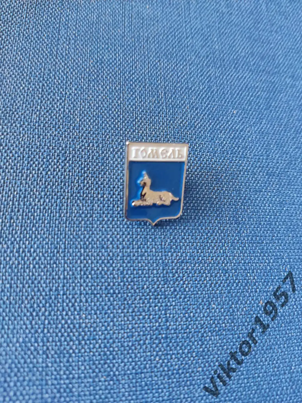 Геральдика. Гербы городов Беларуси. Город Гомель,серебристый 1