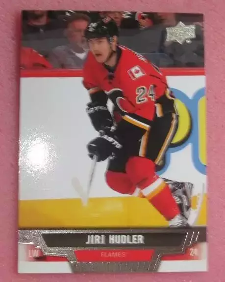 НХЛ Иржи Гудлер Калгари Флэймз № 167