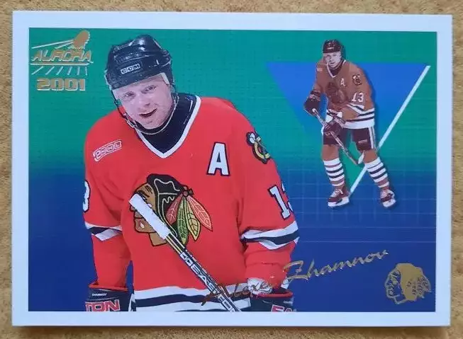 НХЛ Алексей Жамнов Чикаго Блэкхокс Динамо Москва Витязь № 35