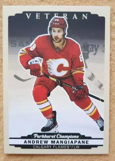НХЛ Эндрю Манджапане Калгари Флэймз № 48