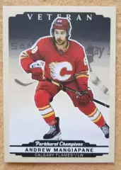 НХЛ Эндрю Манджапане Калгари Флэймз № 48