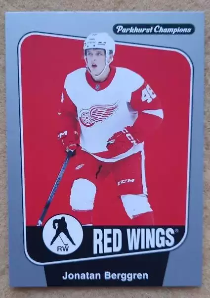 НХЛ Джонатан Берггрен Детройт Ред Уингз № 13 сильвер