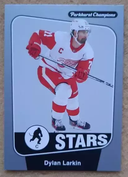 НХЛ Дилан Ларкин Детройт Ред Уингз № 228 сильвер