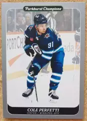 НХЛ Коул Перфетти Виннипег Джетс № 94 сильвер