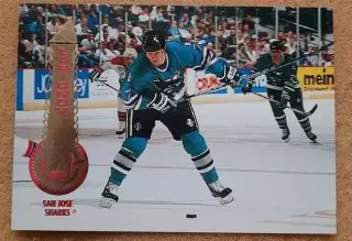 НХЛ Игорь Ларионов Сан-Хосе Шаркс Воскресенск ЦСКА Москва № 74