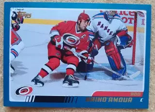 НХЛ Род Бриндамор Каролина Харрикейнз № 109