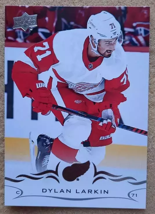 НХЛ Дилан Ларкин Детройт Ред Уингз № 315
