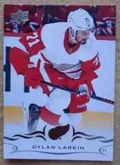 НХЛ Дилан Ларкин Детройт Ред Уингз № 315