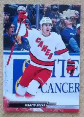 НХЛ Мартин Нечас Каролина Харрикейнз № 35