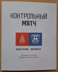 Амкар Пермь - Балтика Калининград мол 20.02.2026