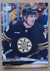 НХЛ Джон Бишер Бостон Брюинз № 259